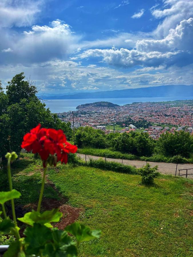 Villa & Apartments Cityview Ohrid Kültér fotó